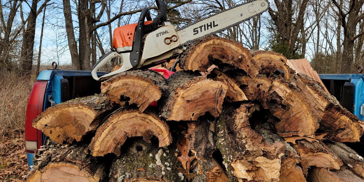 perfekte Baumschnitt