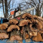 perfekte Baumschnitt