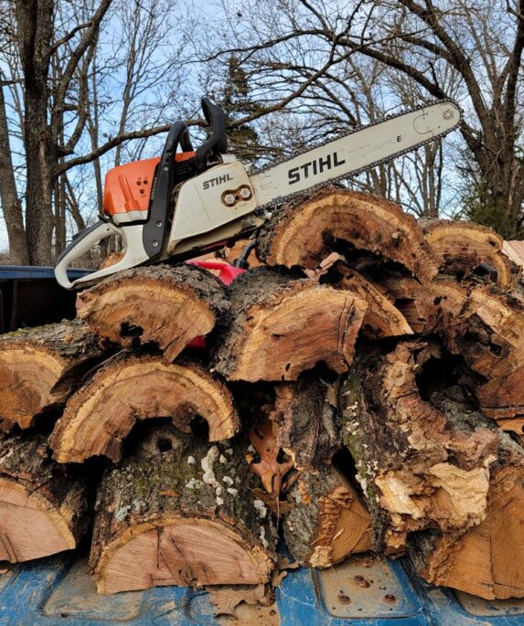 perfekte Baumschnitt