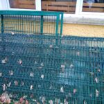 Zaunsysteme aus Stabmatten