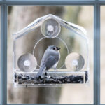 Vogelfutterhӓuser im Garten