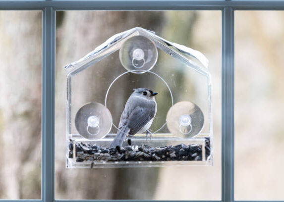 Vogelfutterhӓuser im Garten